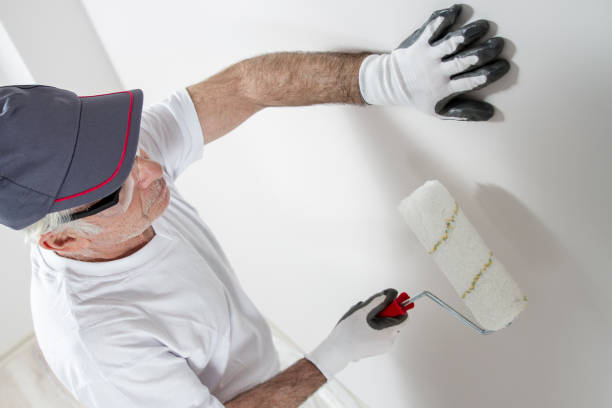 Best Black Mold Removal  in Black Rock, NM