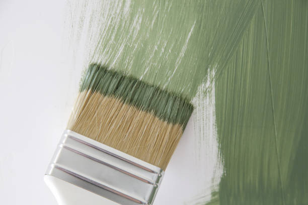 Best Mold Remediation for Healthcare Facilities  in Black Rock, NM