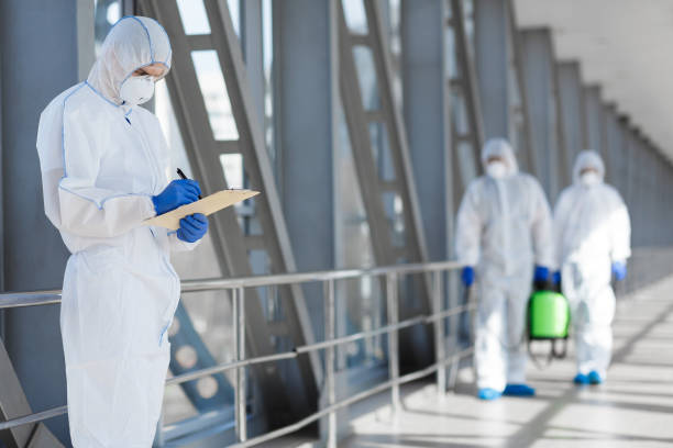 Best Mold Removal for HVAC Installations  in Black Rock, NM