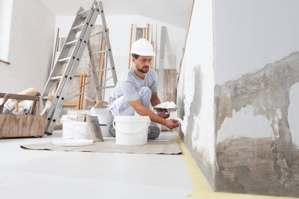 Best Water Damage & Mold Remediation  in Black Rock, NM