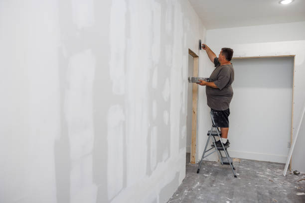 Best Mold Prevention Services  in Black Rock, NM