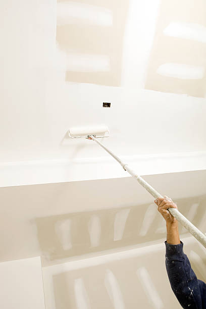 Best Real Estate Mold Inspection  in Black Rock, NM