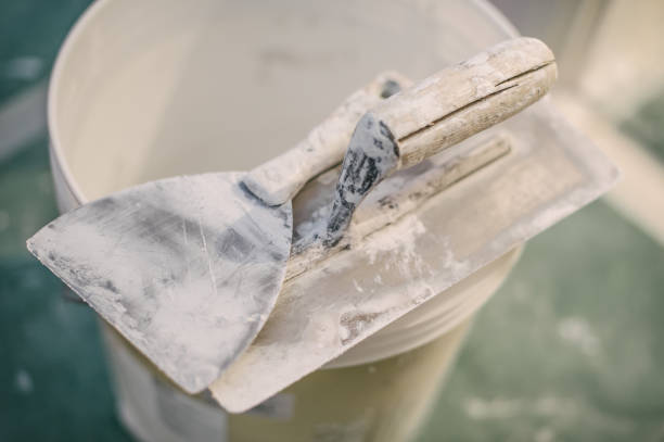 Best Black Mold Removal  in Black Rock, NM