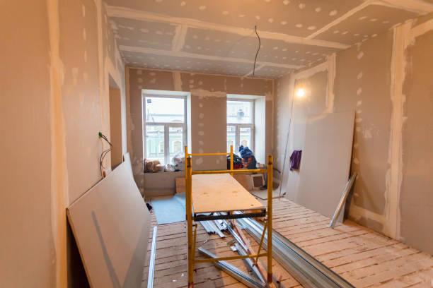 Best Basement Mold Removal  in Black Rock, NM