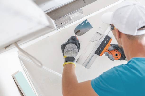 Trusted Black Rock, NM Mold Removal Experts